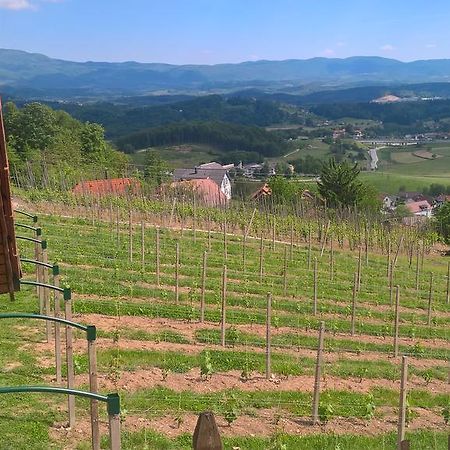 Vineyard Cottage Lustek Novo Mesto Exterior photo
