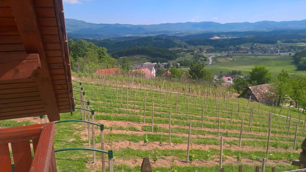 Vineyard Cottage Lustek Novo Mesto Exterior photo